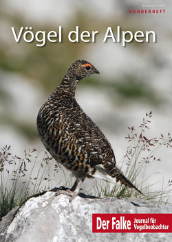 Vögel der Alpen von Redaktion Der Falke
