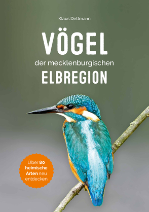 Vögel der mecklenburgischen Elbregion von Dettmann,  Klaus