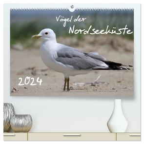 Vögel der Nordseeküste (hochwertiger Premium Wandkalender 2024 DIN A2 quer), Kunstdruck in Hochglanz von Allnoch,  Jan