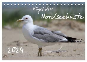 Vögel der Nordseeküste (Tischkalender 2024 DIN A5 quer), CALVENDO Monatskalender von Allnoch,  Jan