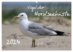 Vögel der Nordseeküste (Wandkalender 2024 DIN A2 quer), CALVENDO Monatskalender von Allnoch,  Jan