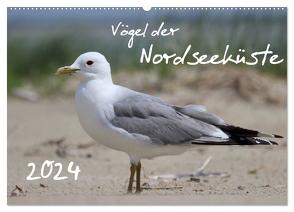Vögel der Nordseeküste (Wandkalender 2024 DIN A2 quer), CALVENDO Monatskalender von Allnoch,  Jan
