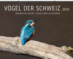 Vögel der Schweiz 2024 von Schmid,  Adrian