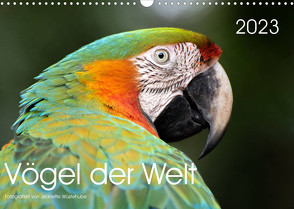 Vögel der Welt (Wandkalender 2023 DIN A3 quer) von Wüstehube,  Jeanette