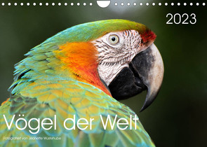 Vögel der Welt (Wandkalender 2023 DIN A4 quer) von Wüstehube,  Jeanette