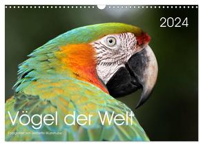 Vögel der Welt (Wandkalender 2024 DIN A3 quer), CALVENDO Monatskalender von Wüstehube,  Jeanette