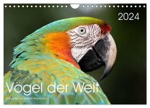 Vögel der Welt (Wandkalender 2024 DIN A4 quer), CALVENDO Monatskalender von Wüstehube,  Jeanette