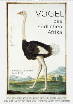 Vögel des südlichen Afrika (Wandkalender 2023 DIN A2 hoch) von Galle,  Jost