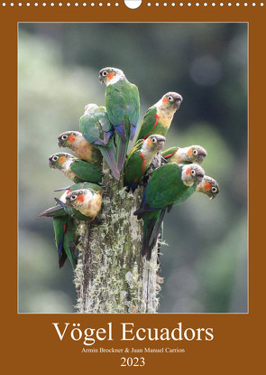 Vögel Ecuadors (Wandkalender 2023 DIN A3 hoch) von Brockner,  Armin