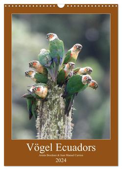 Vögel Ecuadors (Wandkalender 2024 DIN A3 hoch), CALVENDO Monatskalender von Brockner,  Armin