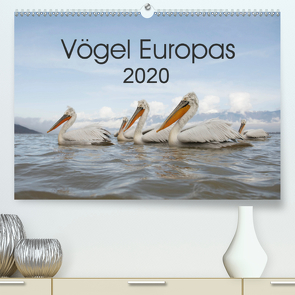 Vögel Europas 2020 (Premium, hochwertiger DIN A2 Wandkalender 2020, Kunstdruck in Hochglanz) von Schröder,  Hans