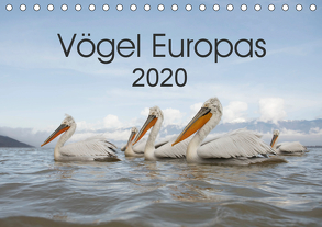 Vögel Europas 2020 (Tischkalender 2020 DIN A5 quer) von Schröder,  Hans
