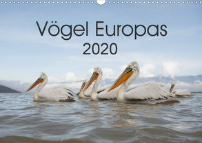 Vögel Europas 2020 (Wandkalender 2020 DIN A3 quer) von Schröder,  Hans
