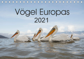 Vögel Europas 2021 (Tischkalender 2021 DIN A5 quer) von Schröder,  Hans