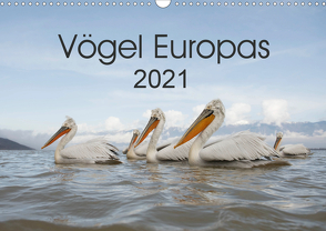 Vögel Europas 2021 (Wandkalender 2021 DIN A3 quer) von Schröder,  Hans