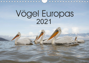 Vögel Europas 2021 (Wandkalender 2021 DIN A4 quer) von Schröder,  Hans