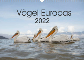 Vögel Europas 2022 (Wandkalender 2022 DIN A3 quer) von Schröder,  Hans