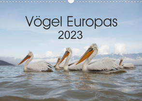 Vögel Europas 2023 (Wandkalender 2023 DIN A3 quer) von Schröder,  Hans