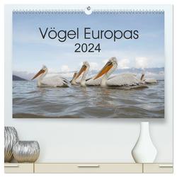 Vögel Europas 2024 (hochwertiger Premium Wandkalender 2024 DIN A2 quer), Kunstdruck in Hochglanz von Schröder,  Hans