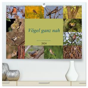 Vögel ganz nah (hochwertiger Premium Wandkalender 2024 DIN A2 quer), Kunstdruck in Hochglanz von Erlwein,  Winfried