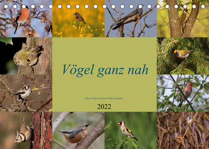 Vögel ganz nah (Tischkalender 2022 DIN A5 quer) von Erlwein,  Winfried