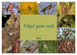 Vögel ganz nah (Wandkalender 2024 DIN A3 quer), CALVENDO Monatskalender von Erlwein,  Winfried
