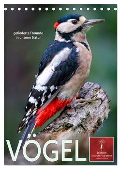 Vögel – gefiederte Freunde in unserer Natur (Tischkalender 2024 DIN A5 hoch), CALVENDO Monatskalender von Roder,  Peter