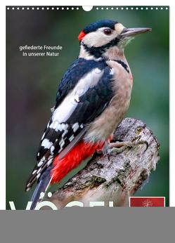 Vögel – gefiederte Freunde in unserer Natur (Wandkalender 2024 DIN A3 hoch), CALVENDO Monatskalender von Roder,  Peter