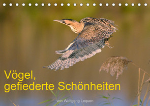 Vögel, Gefiederte Schönheiten (Tischkalender 2022 DIN A5 quer) von Lequen,  Wolfgang