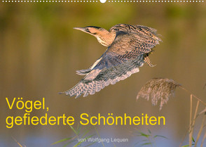 Vögel, Gefiederte Schönheiten (Wandkalender 2022 DIN A2 quer) von Lequen,  Wolfgang