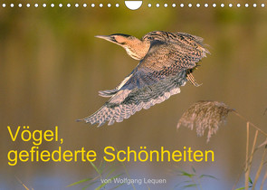 Vögel, Gefiederte Schönheiten (Wandkalender 2022 DIN A4 quer) von Lequen,  Wolfgang