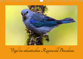 Vögel im atlantischen Regenwald Brasiliens (Wandkalender 2022 DIN A3 quer) von Brockner,  Armin