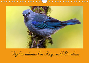Vögel im atlantischen Regenwald Brasiliens (Wandkalender 2022 DIN A4 quer) von Brockner,  Armin