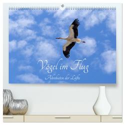 Vögel im Flug – Akrobaten der Lüfte (hochwertiger Premium Wandkalender 2024 DIN A2 quer), Kunstdruck in Hochglanz von Kuttig,  Siegfried