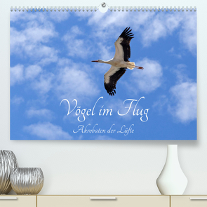 Vögel im Flug – Akrobaten der Lüfte (Premium, hochwertiger DIN A2 Wandkalender 2022, Kunstdruck in Hochglanz) von Kuttig,  Siegfried