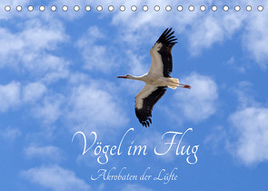 Vögel im Flug – Akrobaten der Lüfte (Tischkalender 2022 DIN A5 quer) von Kuttig,  Siegfried