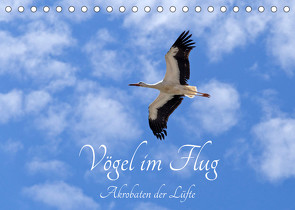 Vögel im Flug – Akrobaten der Lüfte (Tischkalender 2023 DIN A5 quer) von Kuttig,  Siegfried