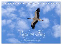 Vögel im Flug – Akrobaten der Lüfte (Tischkalender 2024 DIN A5 quer), CALVENDO Monatskalender von Kuttig,  Siegfried