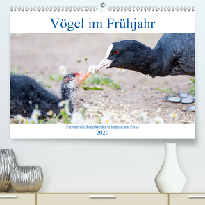 Vögel im Frühjahr (Premium, hochwertiger DIN A2 Wandkalender 2020, Kunstdruck in Hochglanz) von pixs:sell