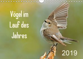 Vögel im Lauf des Jahres (Wandkalender 2019 DIN A4 quer) von Marklein,  Gabi