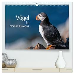 Vögel im Norden Europas (hochwertiger Premium Wandkalender 2024 DIN A2 quer), Kunstdruck in Hochglanz von Thoma,  Martin