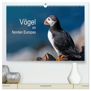 Vögel im Norden Europas (hochwertiger Premium Wandkalender 2024 DIN A2 quer), Kunstdruck in Hochglanz von Thoma,  Martin