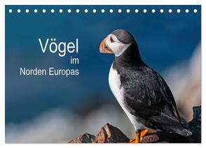 Vögel im Norden Europas (Tischkalender 2024 DIN A5 quer), CALVENDO Monatskalender von Thoma,  Martin