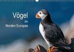 Vögel im Norden Europas (Wandkalender 2019 DIN A3 quer) von Thoma,  Martin