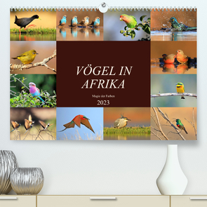 Vögel in Afrika – Magie der Farben (Premium, hochwertiger DIN A2 Wandkalender 2023, Kunstdruck in Hochglanz) von Herzog,  Michael