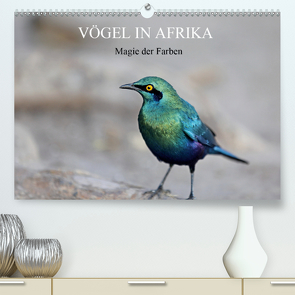 Vögel in Afrika – Magie der Farben (Premium, hochwertiger DIN A2 Wandkalender 2020, Kunstdruck in Hochglanz) von Herzog,  Michael