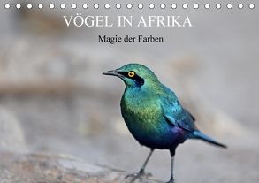 Vögel in Afrika – Magie der Farben (Tischkalender 2018 DIN A5 quer) von Herzog,  Michael