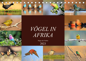Vögel in Afrika – Magie der Farben (Tischkalender 2023 DIN A5 quer) von Herzog,  Michael