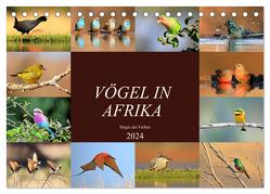 Vögel in Afrika – Magie der Farben (Tischkalender 2024 DIN A5 quer), CALVENDO Monatskalender von Herzog,  Michael