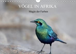 Vögel in Afrika – Magie der Farben (Wandkalender 2018 DIN A4 quer) von Herzog,  Michael